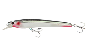 Bleeding Mullet
