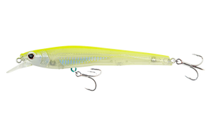 Chartreuse Shad