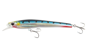 Sardine