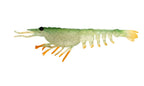 Nomad Design Switcher Shrimp 3.5" - 5 Pack - Live Ops Green Ghost Stalker