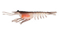 Nomad Design Switcher Shrimp 4.25" - 4 Pack - Live Ops Pink Swagger
