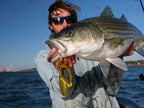 Nomad Design Inshore Vibe Bundle