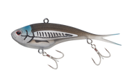 Mangrove Shad