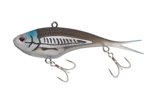 Mangrove Shad