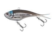 Mangrove Shad