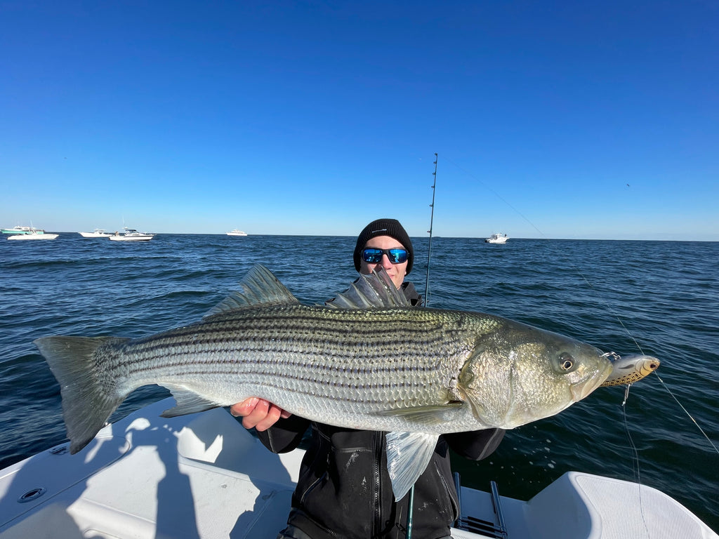 Striped Bass Inshore Bundle
