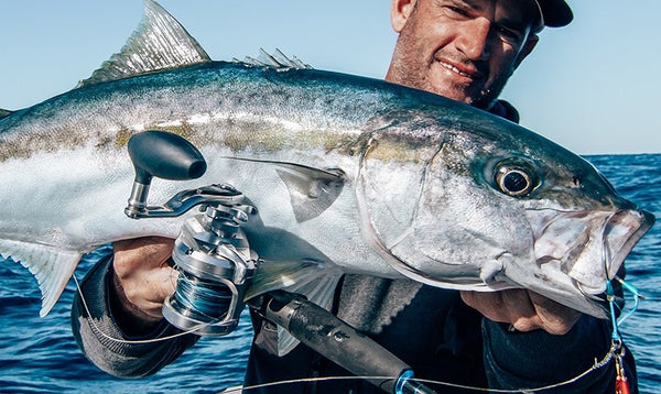 Ammonite Jigging Braid Bundle