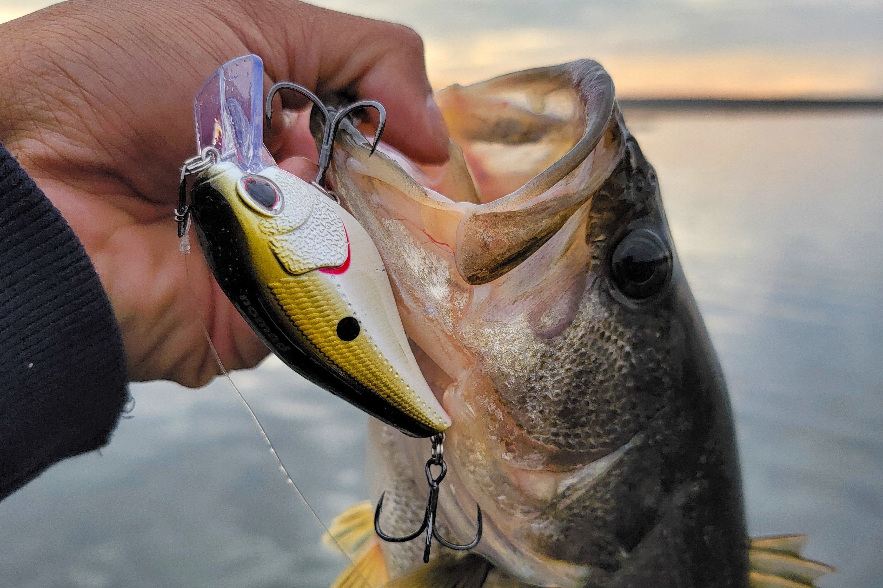 diy fishing lure squarebill 1.5 Square Bill Team Ark CT 2.5 Series Crankbaits are meticulously designed with a high float body Squarebill Fishing: When To Throw
