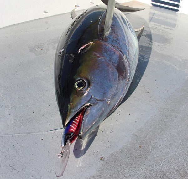 East Coast Offshore Tuna Lures Bundle