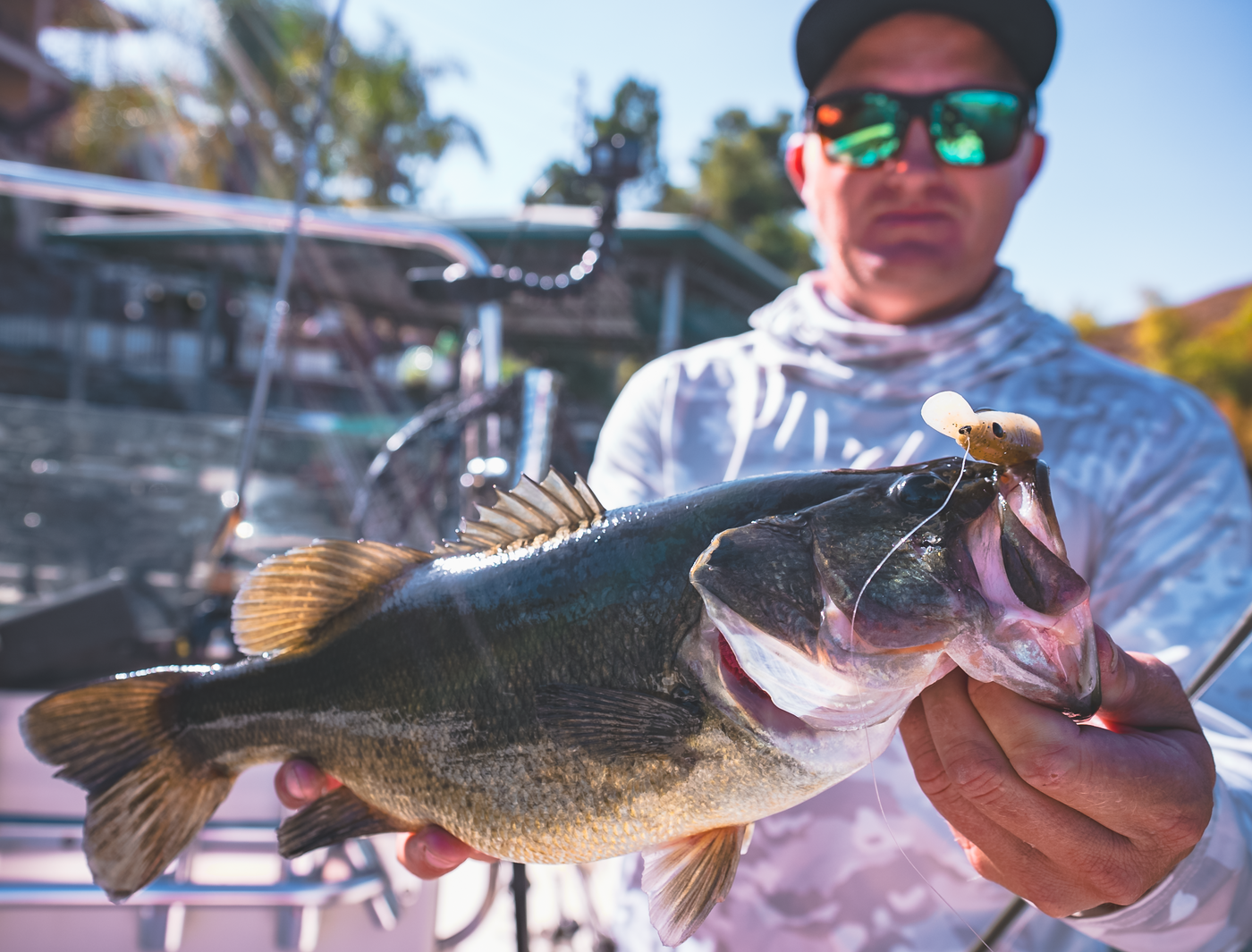 Live Ops Strolling & Forward-Facing Sonar Bundle