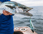 Inshore Trolling Bundle
