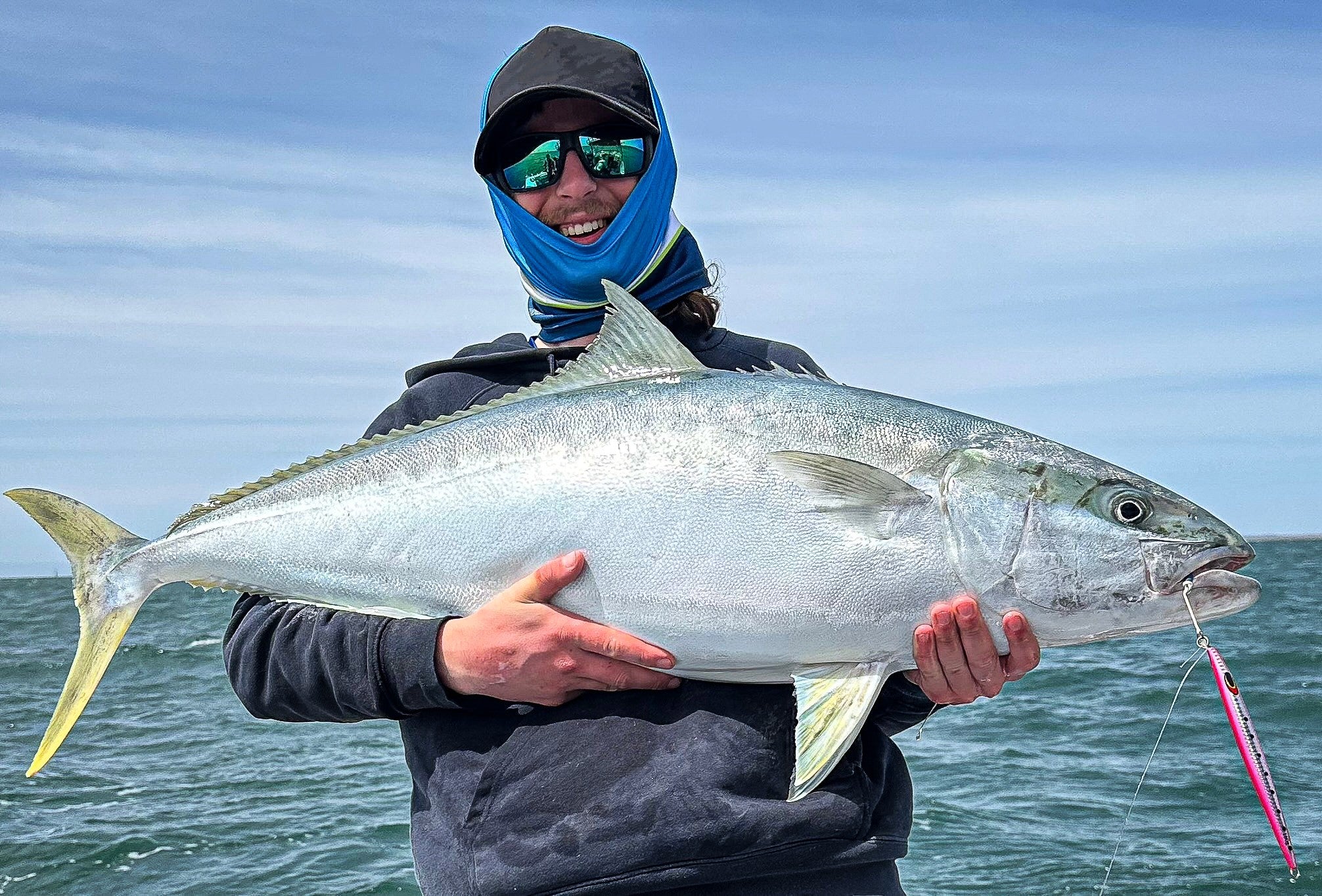 Yellowtail Bundle