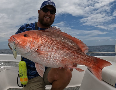 Offshore Vibe Bundle