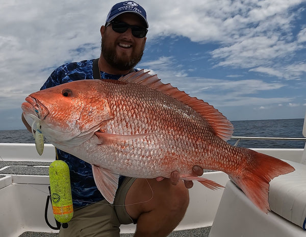 Offshore Vibe Bundle