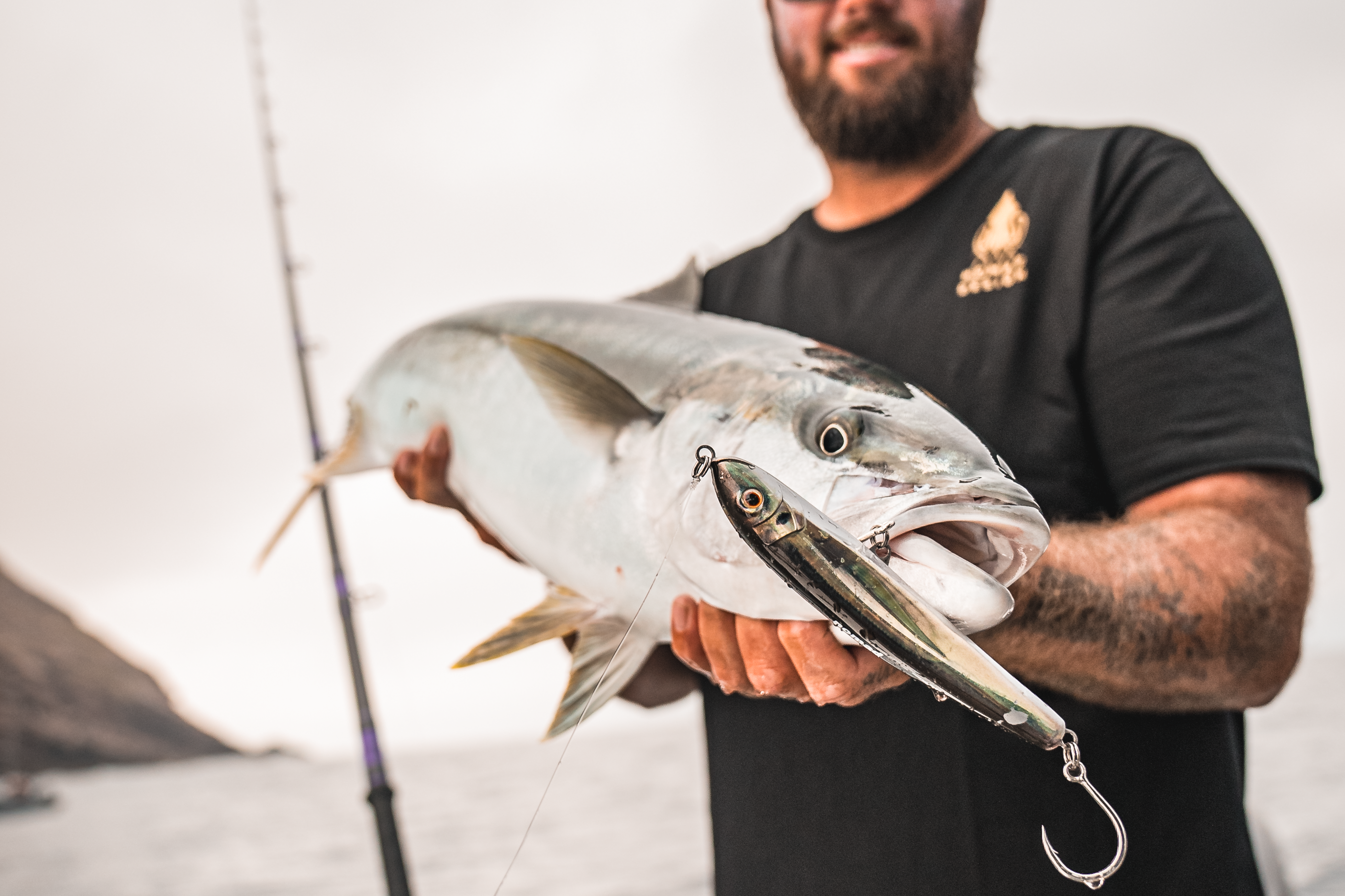 Yellowtail Bundle
