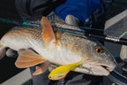 Nomad Design Seacore Vibing Rods