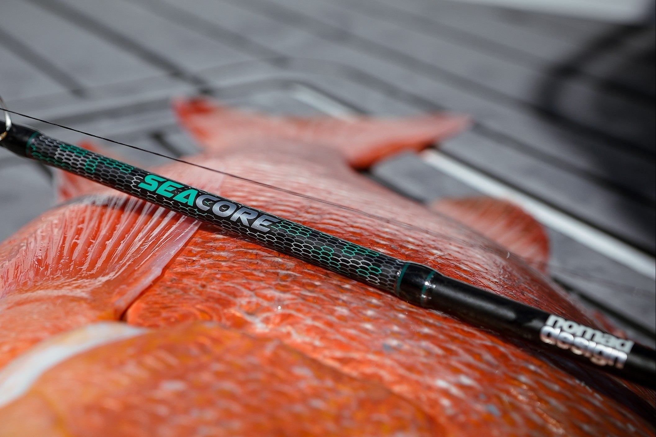 Nomad Design Seacore Slow Pitch Jigging Rods