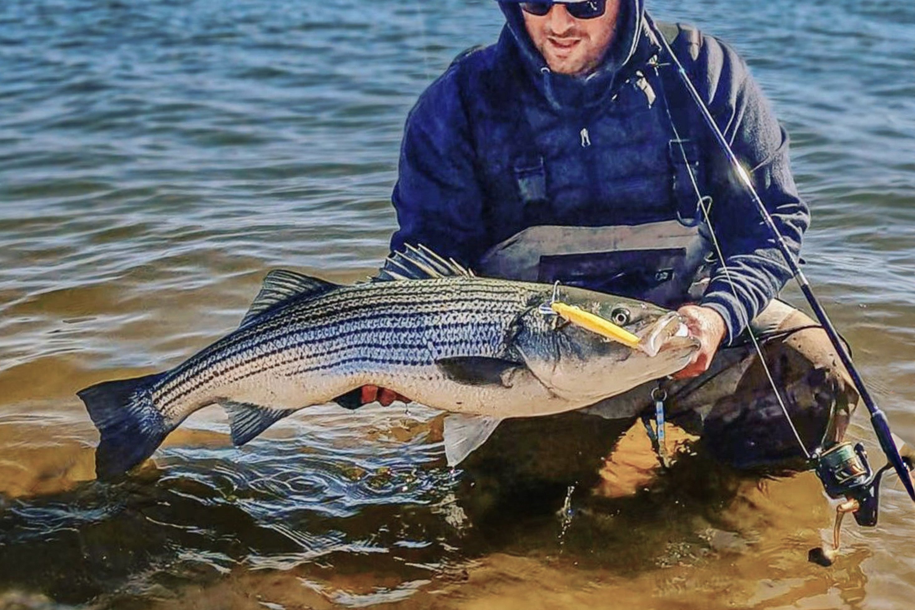 Striped Bass Inshore Bundle