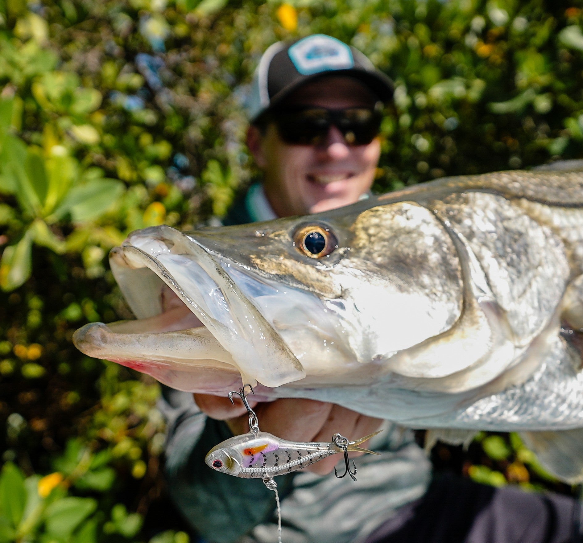 コレクション snook Nomad Tackle Inshore Snook Lures Bundle