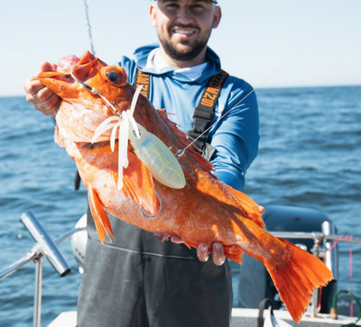 Offshore Vibe Bundle