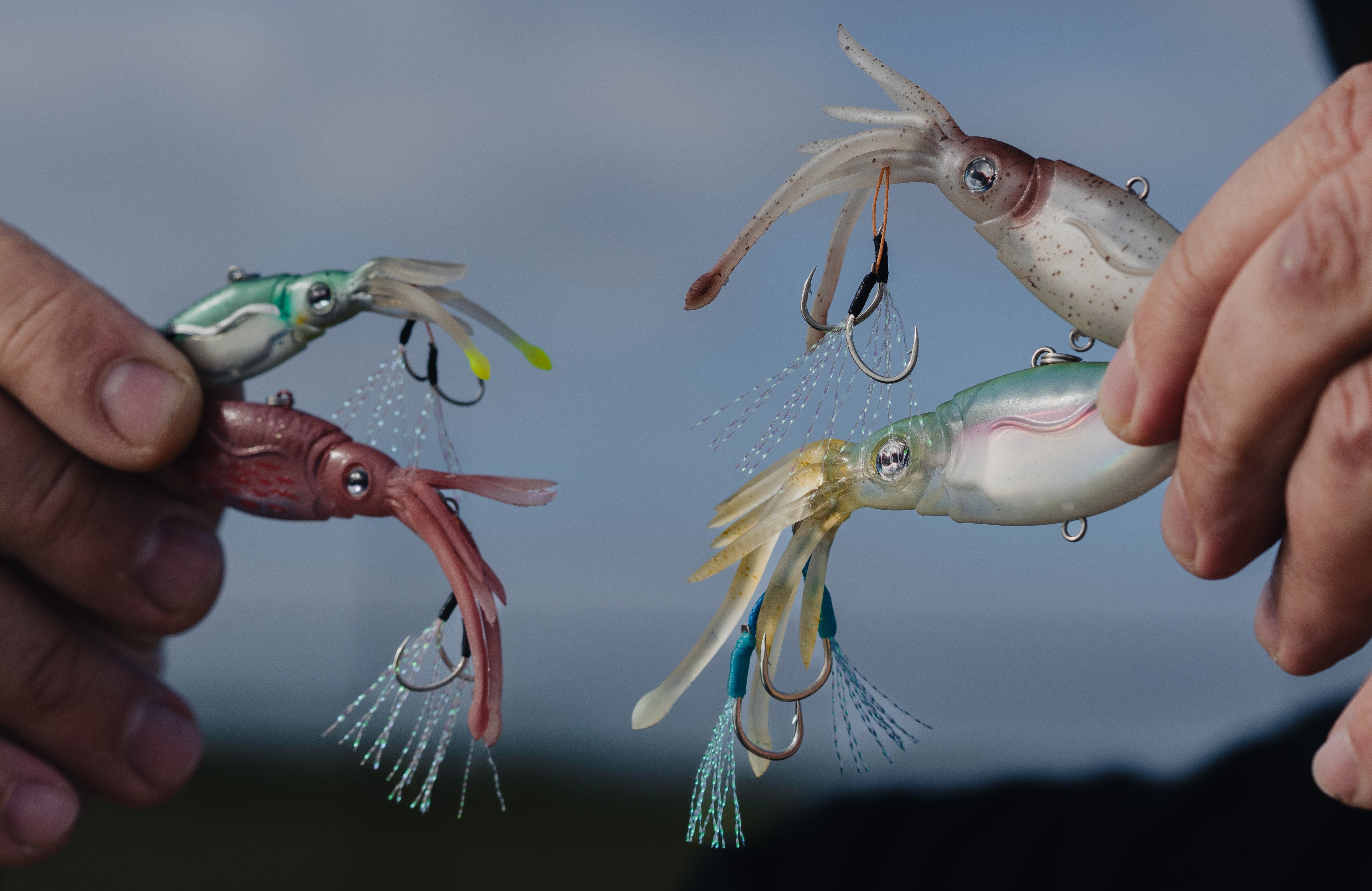 Mini Squidtrex Bundle & Box