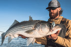 Striped Bass Inshore Bundle