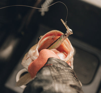 Live Ops Strolling & Forward-Facing Sonar Bundle