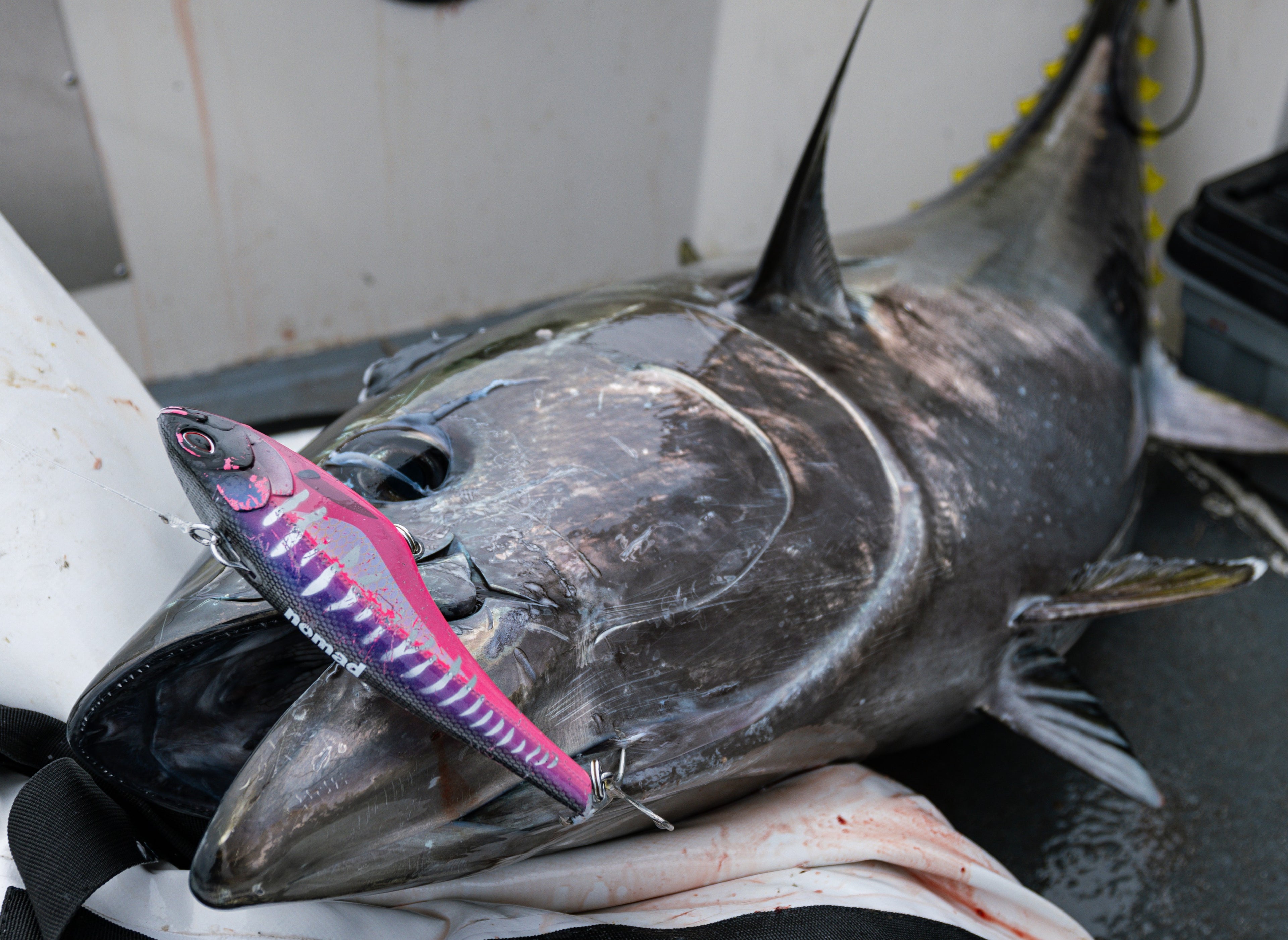 Nomad Design Bluefin Tuna Trolling Bundle
