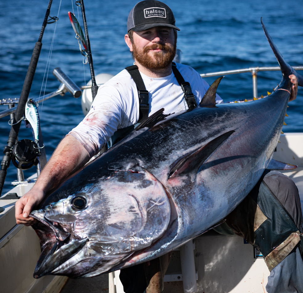 Nomad Design Bluefin Tuna Trolling Bundle