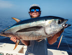 Nomad Design Slow Pitch Jigging Bundle