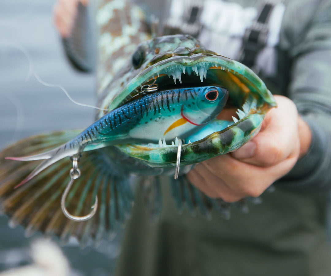 売約済み66⭐️バイト⭐️ 前後タイヤ新品、 バッテリー新品、オイル交換済み、ホンダ、HONDA、ディオ、原付 売約済み66⭐️バイト⭐️ 前後タイヤ新品、 バッテリー新品、オイル