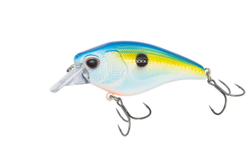 Crankbaits For Fishing: Types, Techniques, Features - Yellow Bird