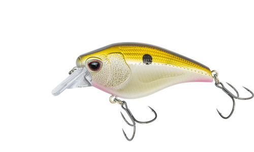 Nomad Design Atlas 70 Square Bill Crankbait 2-3/4" Brown Craw