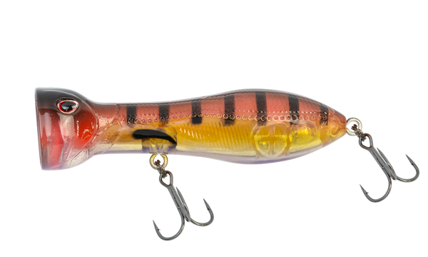 Nomad Chug Norris Popper 72 Autotune Freshwater TG