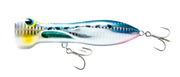 Sardine