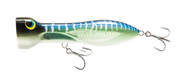 Spanish Mackerel