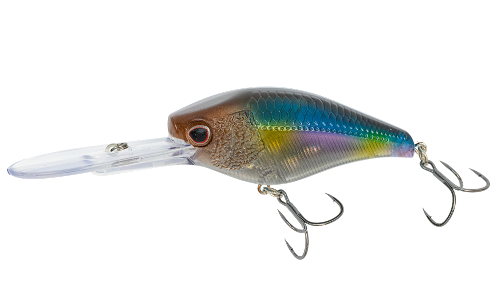 best crankbait fishing lures CrankBaits of Bass,Topwater Lures for Freshwater and Saltwater Shallow Water Deep Diving Swimbait,Topwater Bait for Trout Bass Fishing Lure,5pcs/Box : Sports & Outdoors Made from durable ABS Nomad Design D-Trak 65 Deep