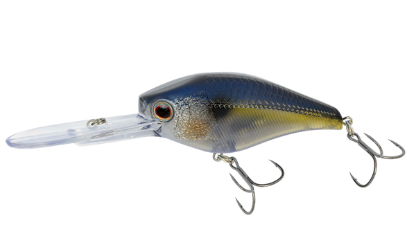 Nomad Tackle D-Trak 80 Deep Floating Freshwater Crank 3-1/4