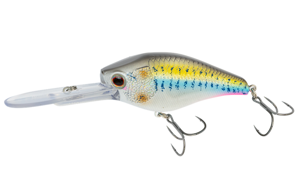 fast track fishing lures Nomad Design D-Trak 80 Deep Crankbait 3.25in Sexy Shad
