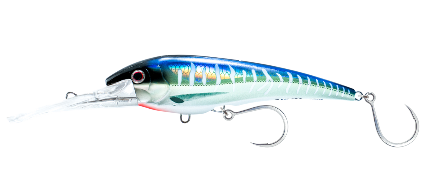 DTX Minnow 165 SNK 6-1/2"