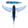 Slipstream 140 Flying Fish 5-1/2