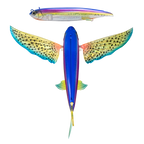 Slipstream 200 Flying Fish 8"