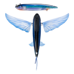 Nomad Design Slipstream 280 Flying Fish 11" Phantom
