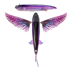 Nomad Design Slipstream 280 Flying Fish 11" Ahi Ghost