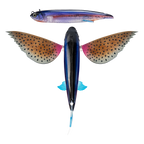 Nomad Design Slipstream 280 Flying Fish CALIFORNIA 11" California Tiger