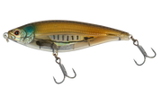 Mangrove Shad
