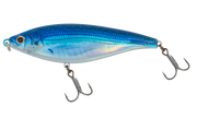 Blue Back Shad
