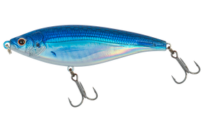 Blue Back Shad