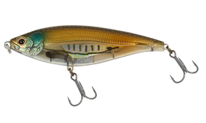 Mangrove Shad