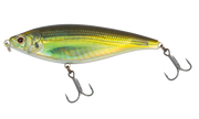 Olive Back Shad